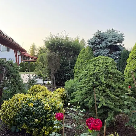 Zajecza Zagroda - Caly Dom Na Wylacznosc Nad Jeziorem Lincjusz, 0,5ha Sadu I Lasu