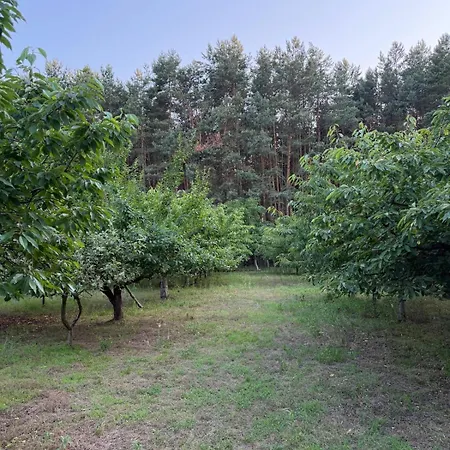 Holiday home Zajecza Zagroda - Caly Dom Na Wylacznosc Nad Jeziorem Lincjusz, 0,5ha Sadu I Lasu Miastko (Leszno)