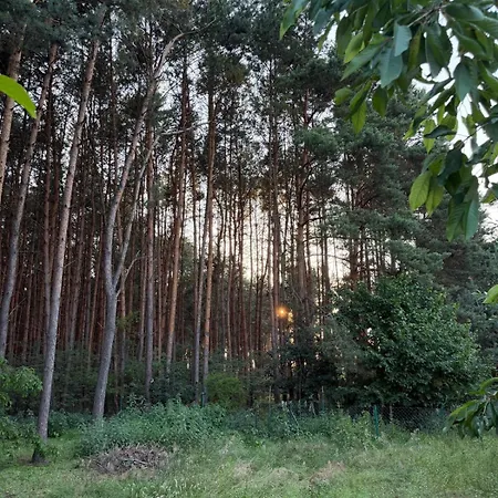 Zajecza Zagroda - Caly Dom Na Wylacznosc Nad Jeziorem Lincjusz, 0,5ha Sadu I Lasu