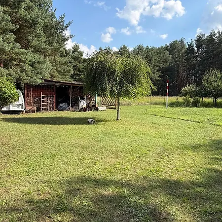 Zajecza Zagroda - Caly Dom Na Wylacznosc Nad Jeziorem Lincjusz, 0,5ha Sadu I Lasu