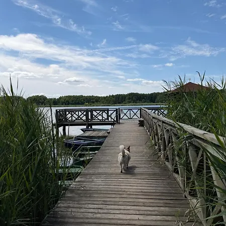 Zajecza Zagroda - Caly Dom Na Wylacznosc Nad Jeziorem Lincjusz, 0,5ha Sadu I Lasu