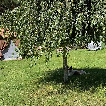 Zajecza Zagroda - Caly Dom Na Wylacznosc Nad Jeziorem Lincjusz, 0,5ha Sadu I Lasu *