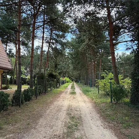 Holiday home Zajecza Zagroda - Caly Dom Na Wylacznosc Nad Jeziorem Lincjusz, 0,5ha Sadu I Lasu Miastko (Leszno)